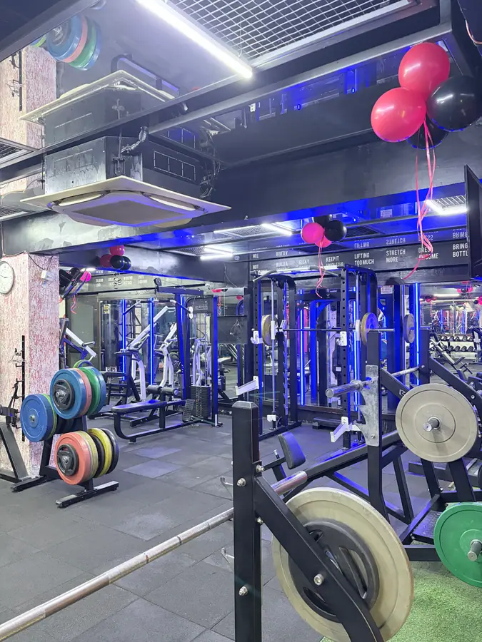 Weight plates loaded on a tree beside a power rack
