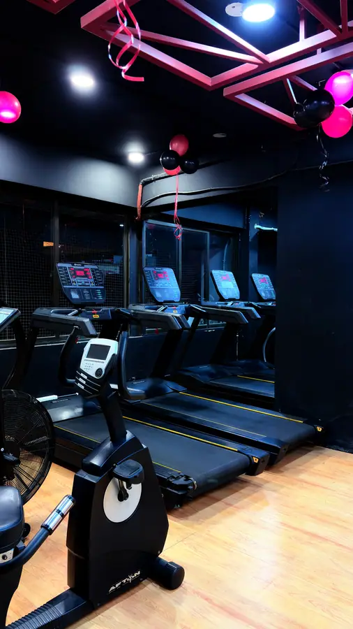 Spin bikes and treadmills lined up on the wooden deck